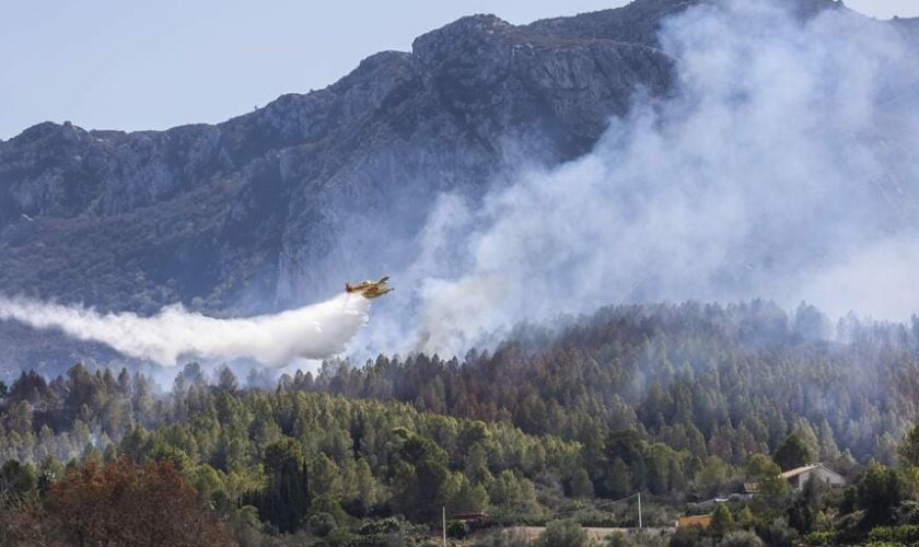 Un incendio de vegetación en Benifaió (Valencia) obliga a interrumpir la circulación ferroviaria