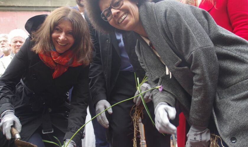 « Un petit maillon de la chaîne » : avec le Jardin des Traverses, Paris abrite désormais 37 ha d’espaces agricoles