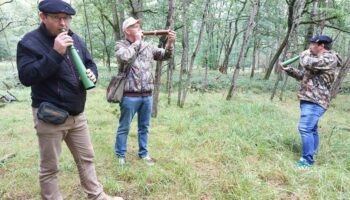 « Une histoire d’émotion à retranscrire » : en pleine forêt de Rambouillet, ils imitent… le brame du cerf