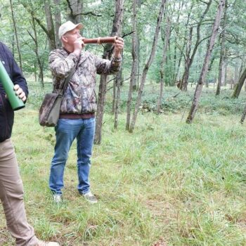 « Une histoire d’émotion à retranscrire » : en pleine forêt de Rambouillet, ils imitent… le brame du cerf