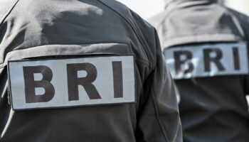 Une vaste opération antidrogue permet la saisie de 246 kilos de cannabis sur l’A63