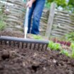 Urgent warning for gardeners to wash their produce after 'forever chemical' found in soil