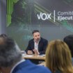 Vox recibió más de 9 millones de euros de un banco húngaro para financiar campañas electorales, aunque "desconoce" si está vinculado con Viktor Orban