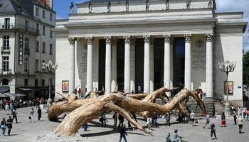 « Voyage à Nantes » : l’art redonne leur place aux arbres remarquables