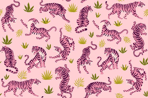 Weird health condition stops people from imagining pink tigers - can you picture them?