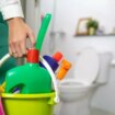 Woman's 'genius' way to clean toilet divides opinion - it's not for everyone