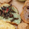 Would you eat insects if they were tastier?