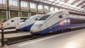 1,5 million de places en plus par an : la SNCF va renforcer son offre sur le TGV Atlantique