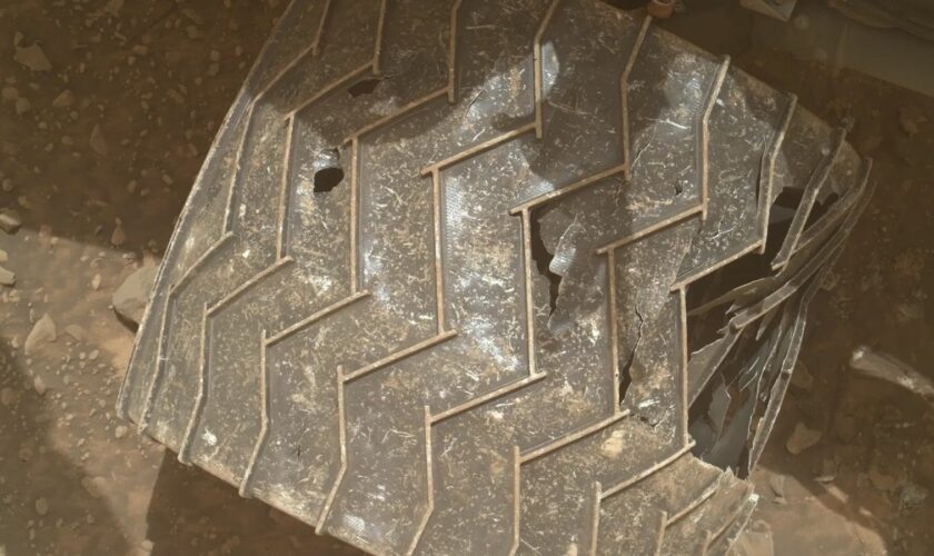 A view of the right-middle wheel of NASA's Mars rover Curiosity, one of the rover’s six well-traveled wheels. Pic: NASA