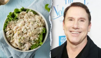 Nicholas Sparks' chicken salad recipe leaves fans upset over secret ingredient: 'Gone too far'