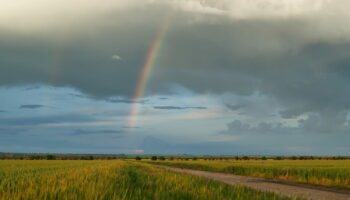 Météo : une courte accalmie avant le retour de la pluie, voici les quelques jours où il faudra profiter du beau temps