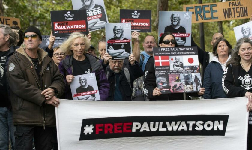 Groenland : la détention du militant écologiste Paul Watson maintenue jusqu'à fin octobre