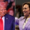 Wisconsin poll shows Harris leading Trump by 4, former president ahead on key issues