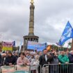 Friedensdemo in Berlin: Stegner wegen Ukraine-Aussage niedergebrüllt