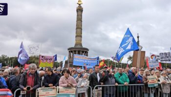 Friedensdemo in Berlin: Stegner wegen Ukraine-Aussage niedergebrüllt