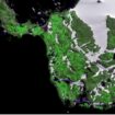 Scientists 'shocked' at how quickly parts of Antarctica are turning green