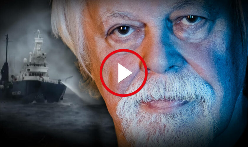 La véritable histoire de l’arrestation de Paul Watson