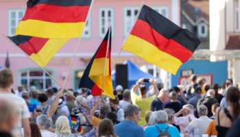 AfD-Verbotsverfahren: Grünen-Politiker Omid Nouripour offen für AfD-Verbotsverfahren