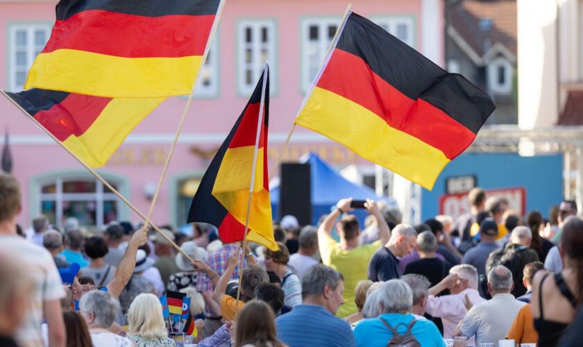 AfD-Verbotsverfahren: Grünen-Politiker Omid Nouripour offen für AfD-Verbotsverfahren