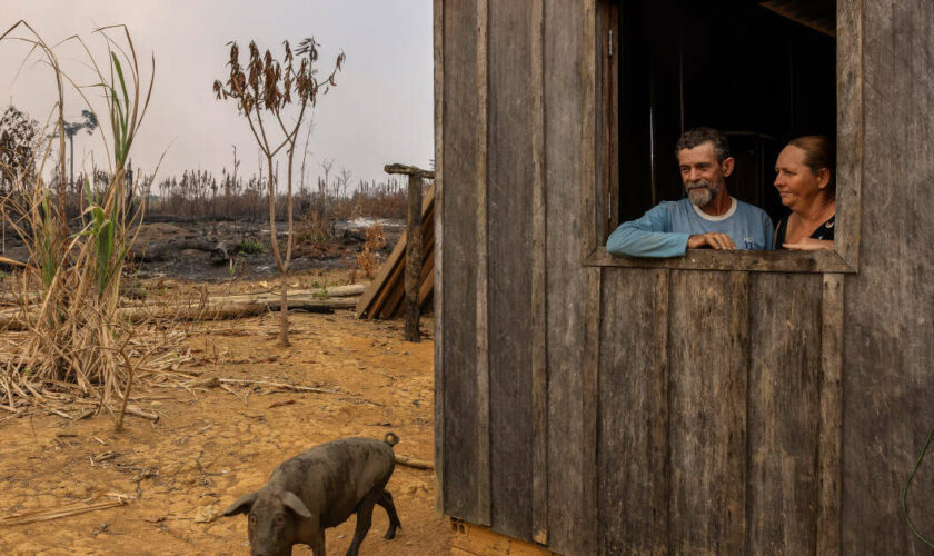 Dans le “chaos de feu” de l’Amazonie brésilienne