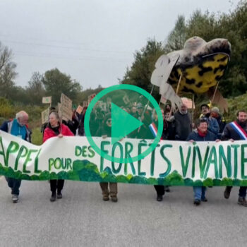 À Guéret, des centaines de manifestants pour défendre la forêt contre la construction d’une « méga-usine » à bois