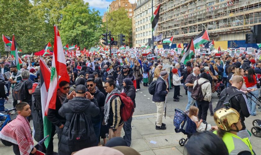 A pro-Palestine march in central London. Pic: PA