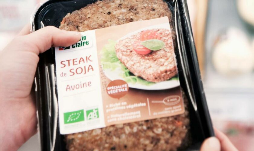 Interdiction du terme de «steak» végétal : la France contredite par la justice européenne