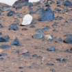 NASA releases clearest view of Mars, blue rocks seen on landscape