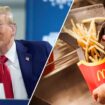 Trump teases he will 'do everything' while working behind McDonald's counter in crucial swing state