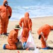 Sydney beaches reopen as composition of 'mystery' balls revealed