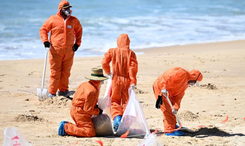 Sydney beaches reopen as composition of 'mystery' balls revealed