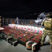 Drugs haul heavier than an elephant seized by Mexican navy