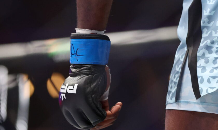 MMA. Francis Ngannou - Renan Ferreira : heure, chaîne TV, pourquoi ce sera la Bataille des géants ?