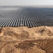 Des véhicules préparent le terrain avant l'installation de nouveaux panneaux solaires pour la centrale énergétique de Ningxia, dans le désert de Tengger, en Chine, le 9 décembre 2023