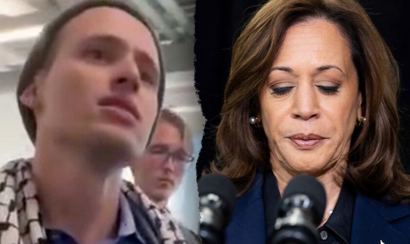 Harris appears to agree with protester accusing Israel of genocide: ‘What he’s talking about, it’s real’