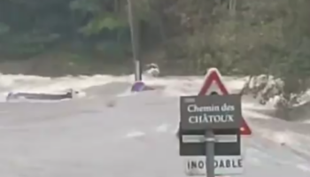 En Haute-Loire, la vache symbole de la crue historique n’a pas survécu