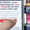 La justice décide le blocage de quatre sites pornographiques accessibles aux mineurs