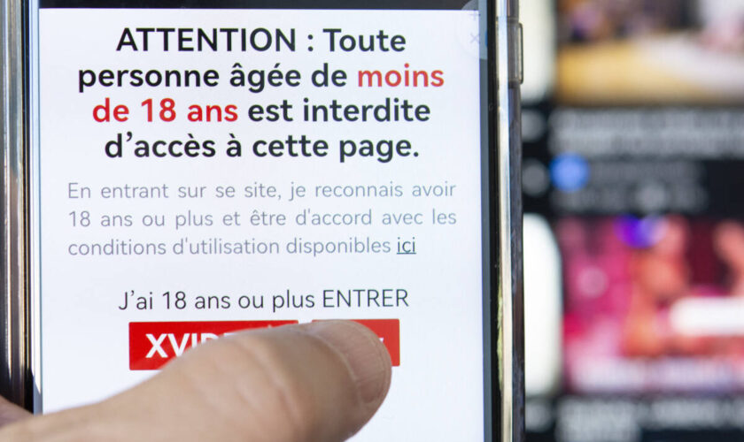 La justice décide le blocage de quatre sites pornographiques accessibles aux mineurs