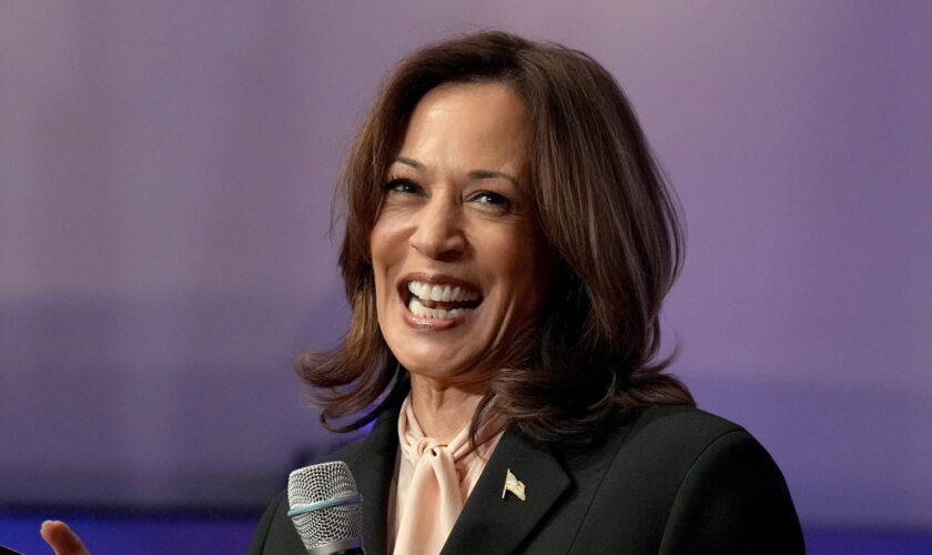 Kamala Harris : sondages, programmes... Des résultats encourageants, mais suffisants pour gagner la présidentielle ?