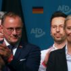 Calls grow in Germany to ban far-right AfD