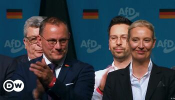 Calls grow in Germany to ban far-right AfD