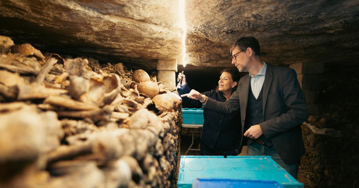 Ces restaurateurs et chercheurs au chevet des morts des catacombes de Paris