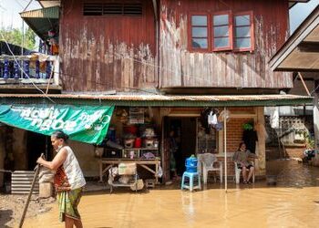 Chiang Mai in Thailand: 117 Elefanten bei Überflutungen gerettet