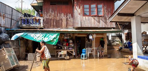 Chiang Mai in Thailand: 117 Elefanten bei Überflutungen gerettet