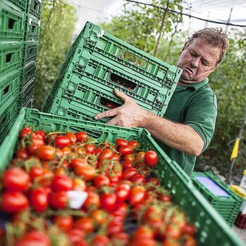 El campo desconfía del Gobierno: "Nos tememos que no va a exigir el cumplimiento de la sentencia contra los productos marroquíes"