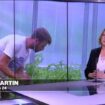 En France, le combat des jeunes agriculteurs : terres agricoles, David contre Goliath ?