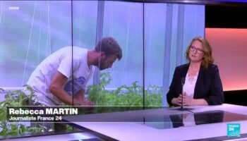 En France, le combat des jeunes agriculteurs : terres agricoles, David contre Goliath ?