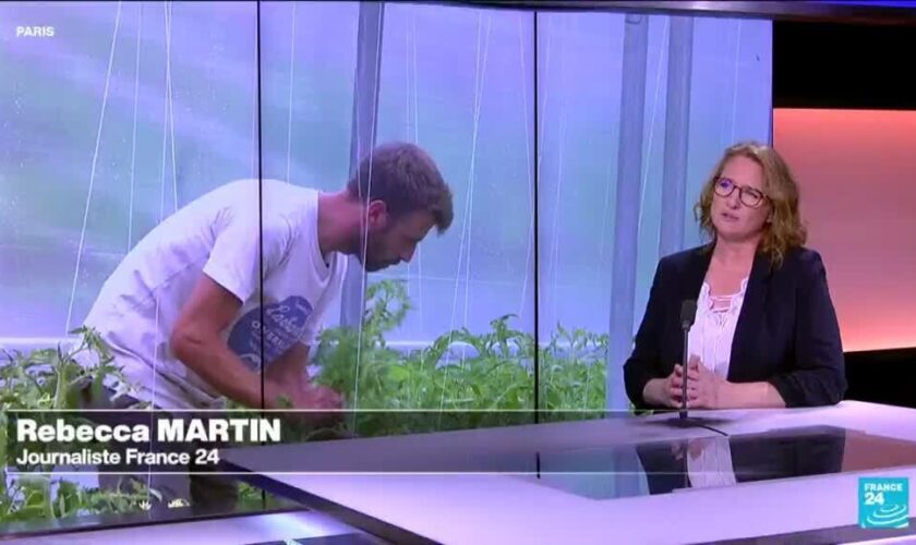 En France, le combat des jeunes agriculteurs : terres agricoles, David contre Goliath ?