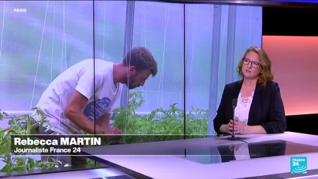 En France, le combat des jeunes agriculteurs : terres agricoles, David contre Goliath ?