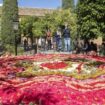 Festival Flora 2024: calles y plazas de Córdoba donde ver las instalaciones de flores